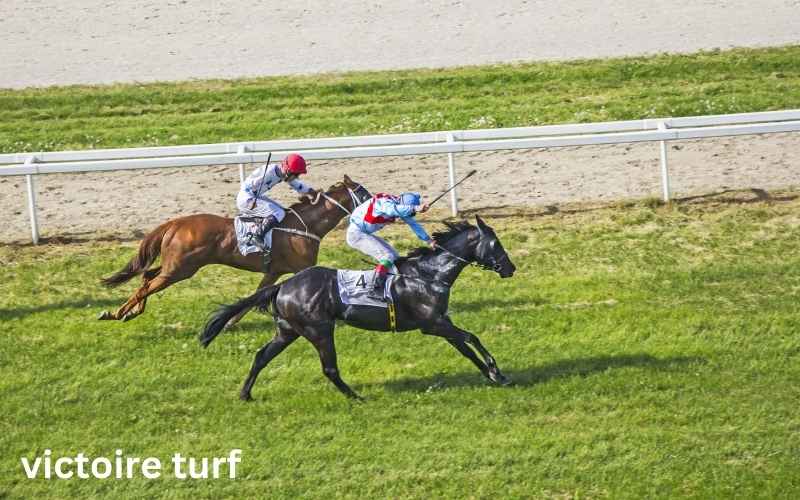 victoire turf